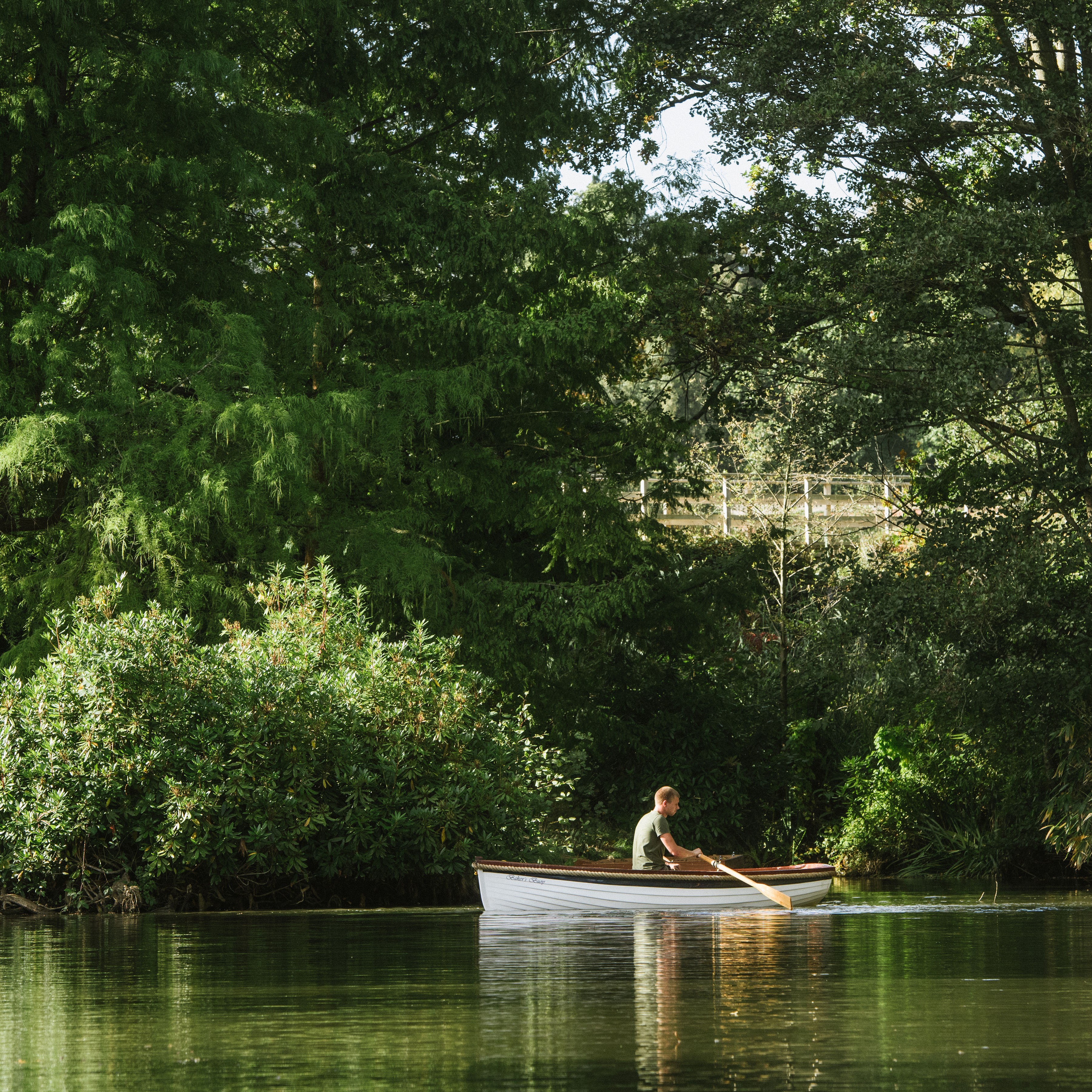 Rowing Boat On Lake