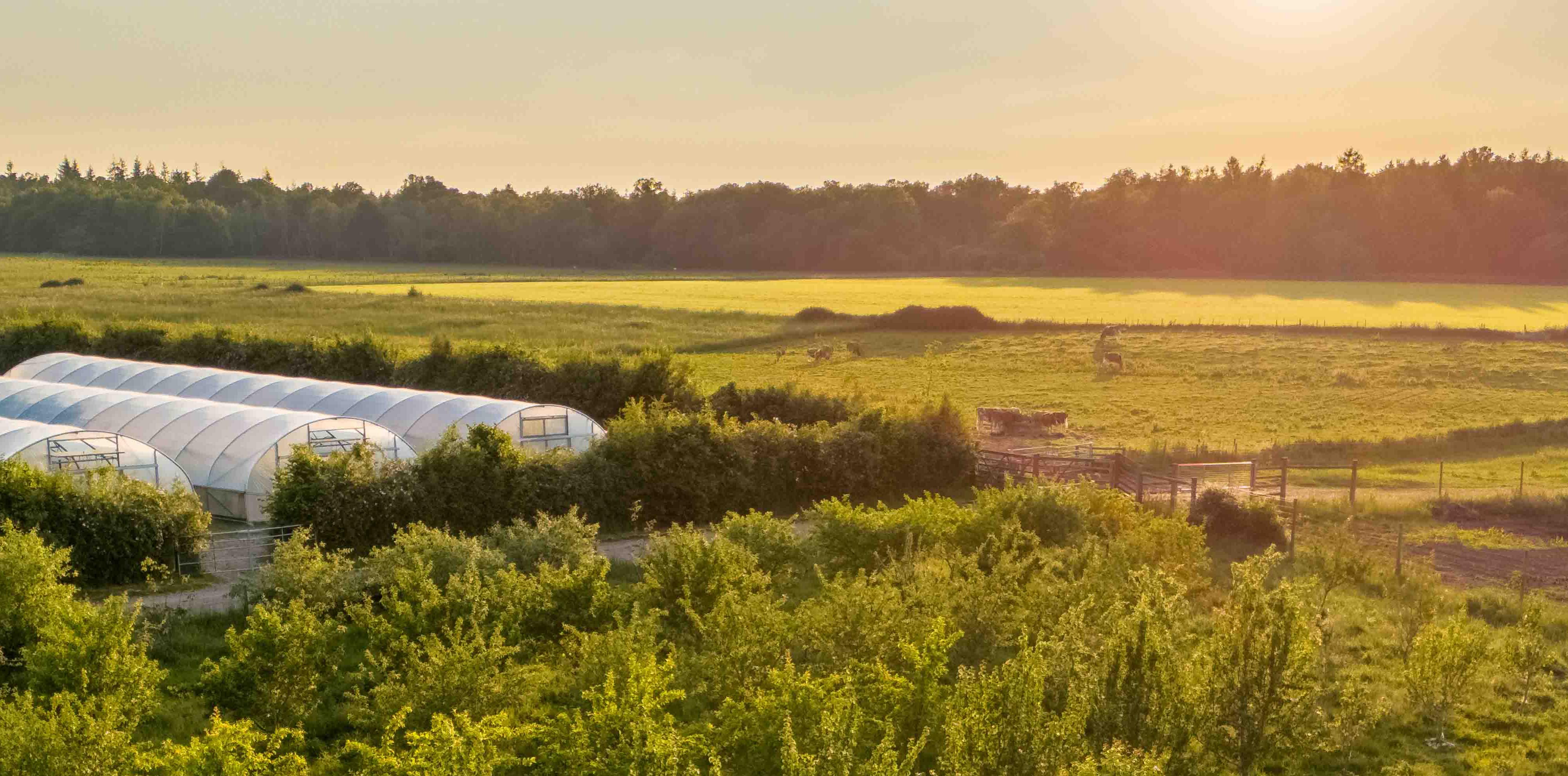 Hp Market Garden View (1)