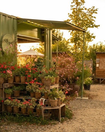 FARM, GARDEN OPTION 2 (Small)