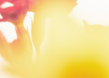 Wildsmith Luke Evans 7