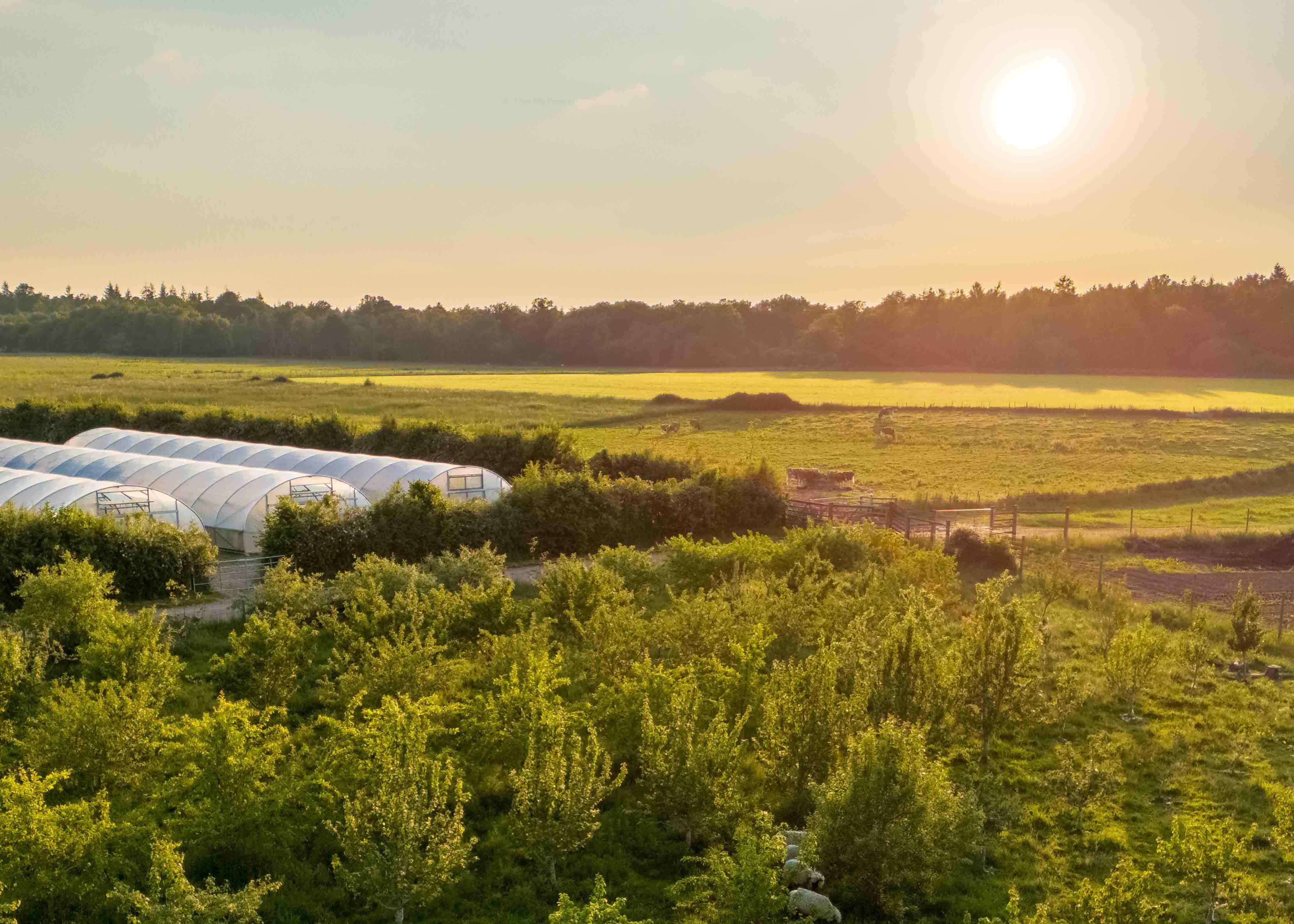Hp Market Garden View (1)