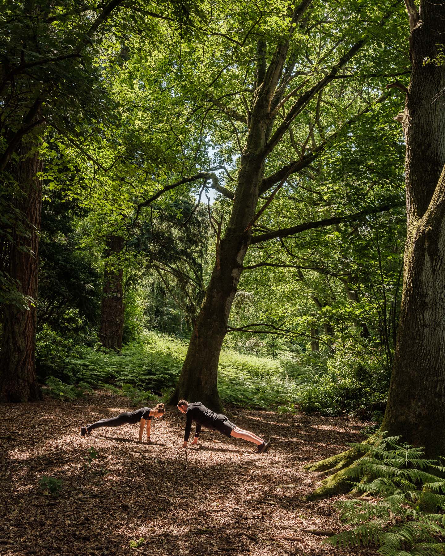 Woodland Movement (1)