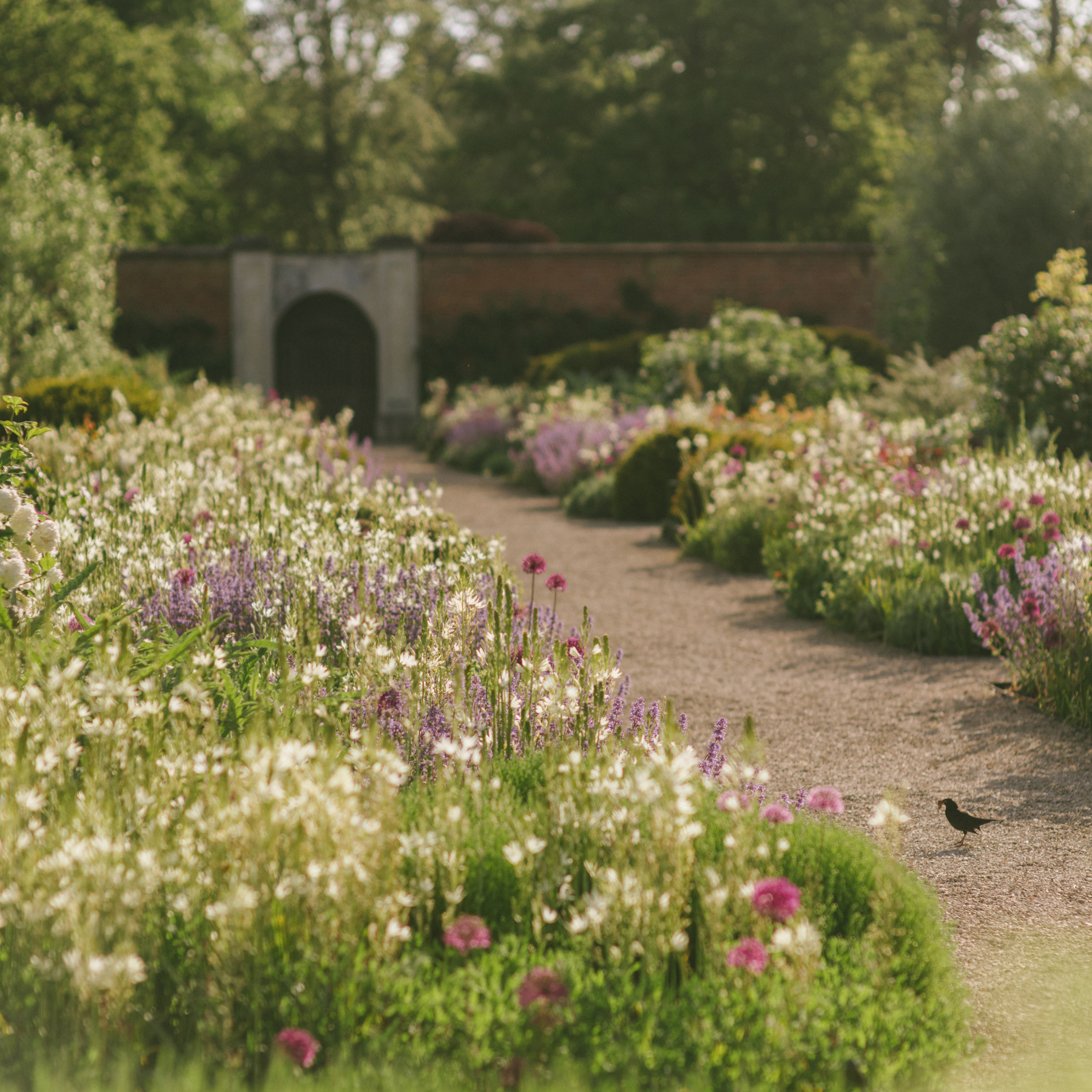 Gardens In Bloom
