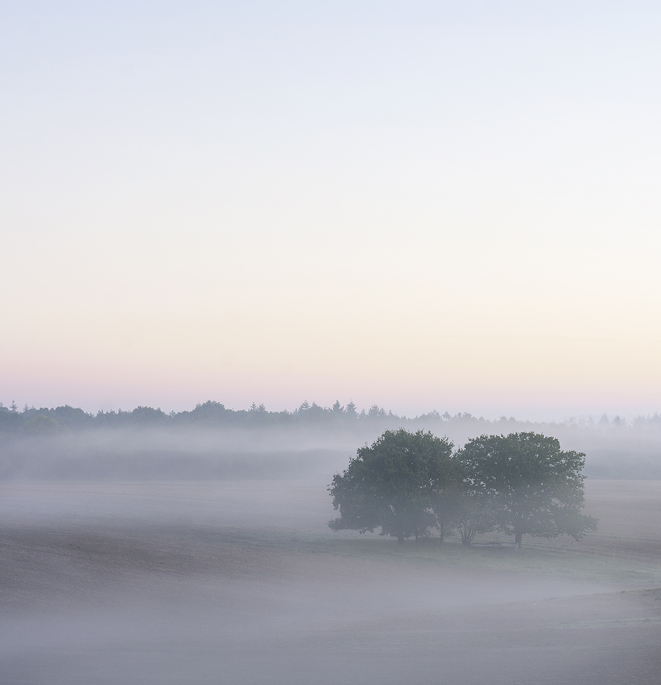 Home Farm September 2018
