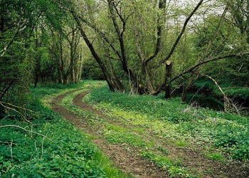 Hp Woodlands 5 1