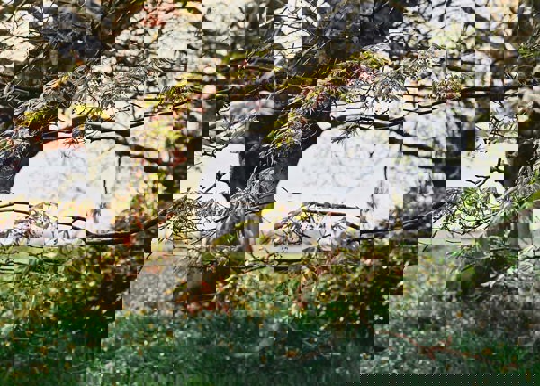 97347537 Heckfieldplace4