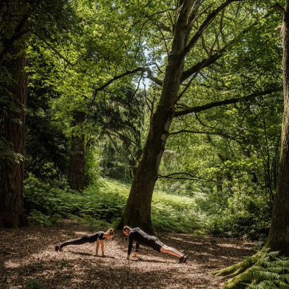 Woodland Movement