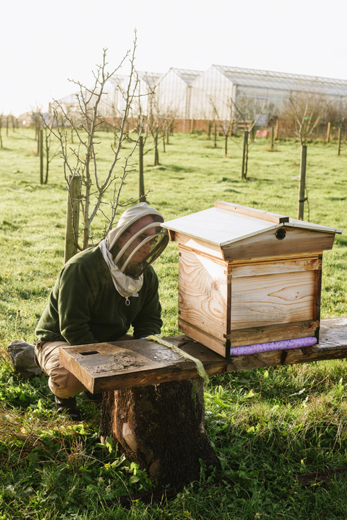 Bees Farm