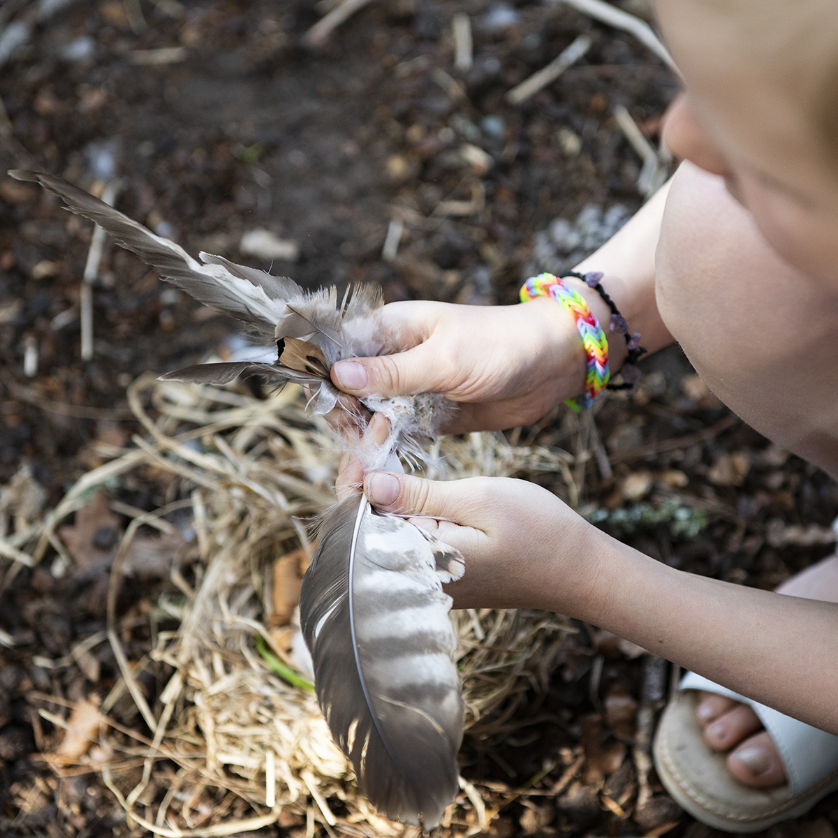 Image 2025 06 11 105054130