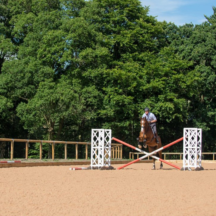 Wellington Riding Horse Jumping