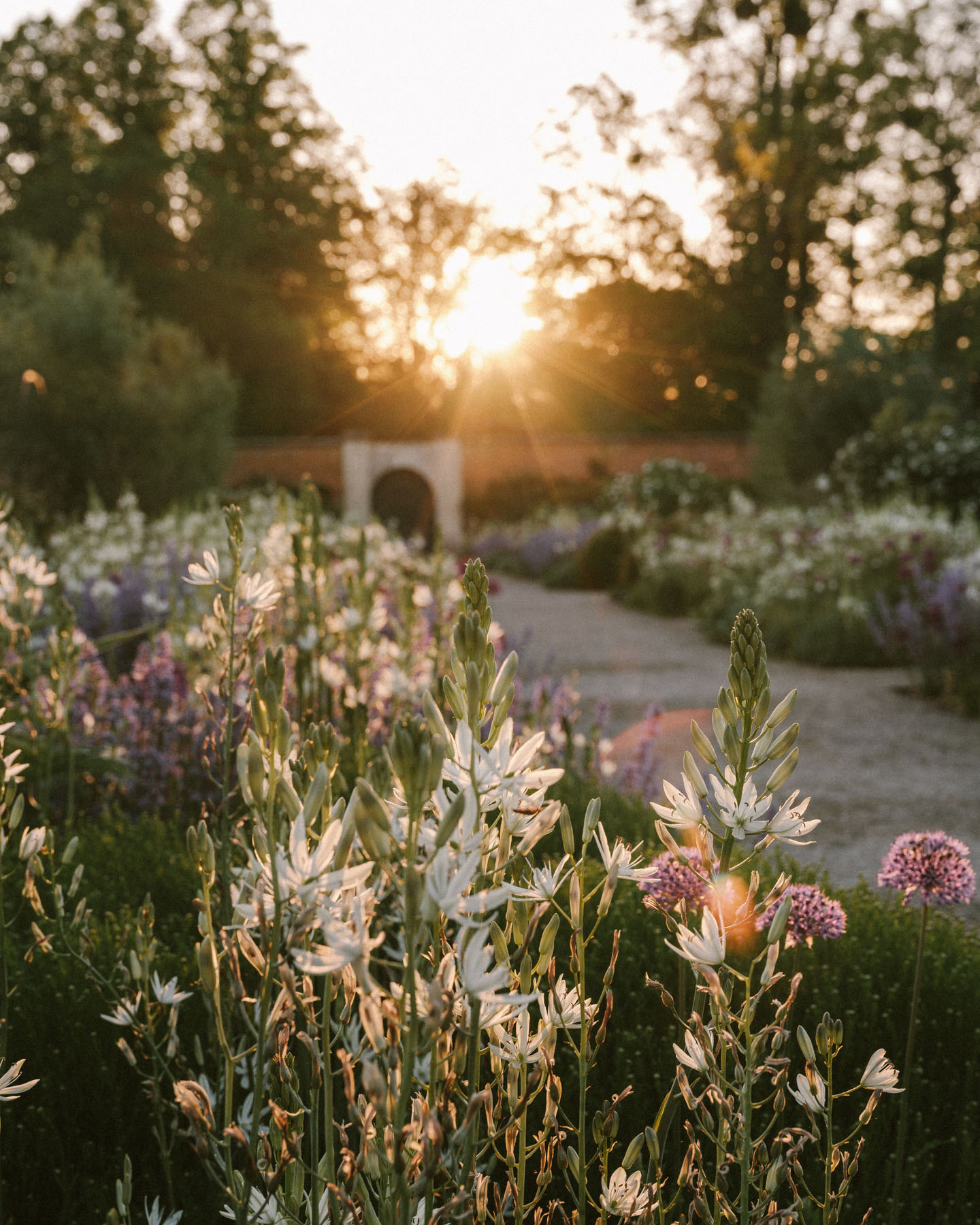 The Bothy Walled Gardens