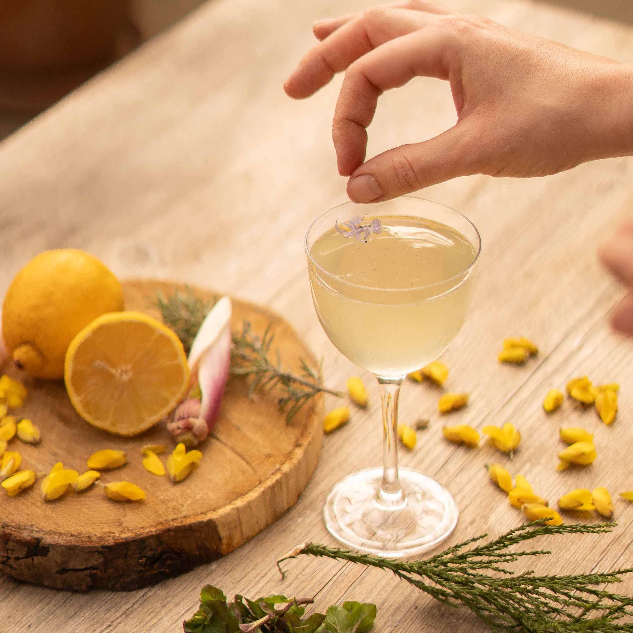 Foragedcocktailworkshopsweb