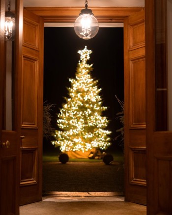 FESTIVE OPTION 2 (Small)