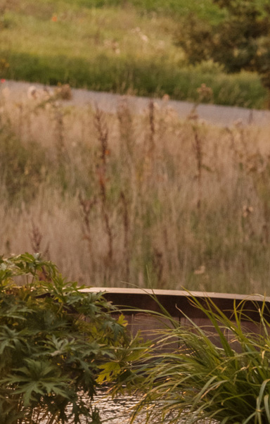 Wildsmithaug23 8896 Edit (2) (3)