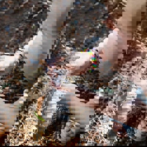 219596798 527520918390149 1967181551509748337 N