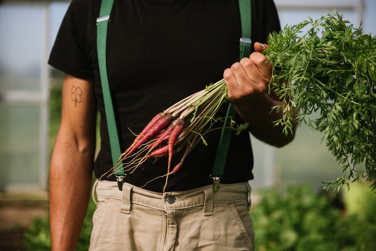Root Veg